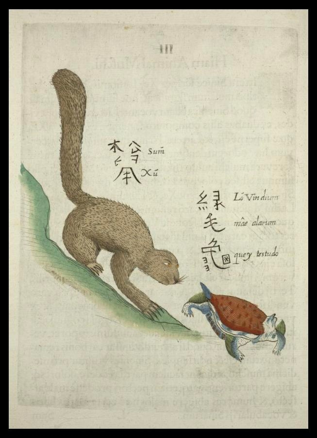 卜彌格可愛的手稿，上面歪歪扭扭寫著「松鼠」、「綠毛龜」。