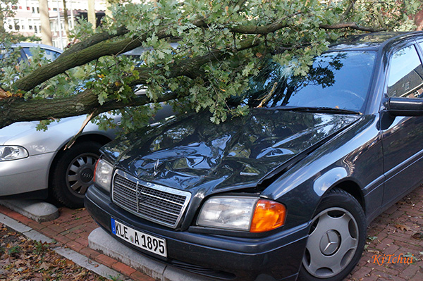 2013年10月28日，荷蘭暴風實況：停在樹下，為落枝砸損的賓士車